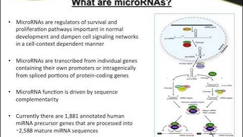 What are miRNAs?