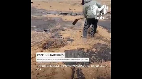 Thumbnail of Анапа. Нефть. Мазут.