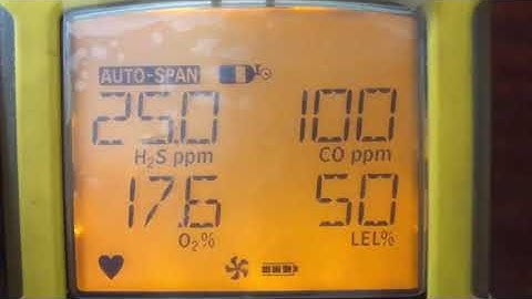 BW GasAlert Max XT II Calibration