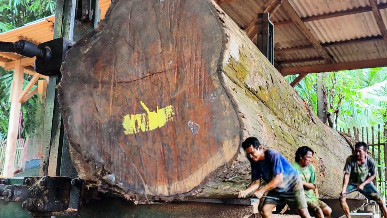 Amazing!! Beautiful grain of old teak wood worth millions of dollars in sawmill 