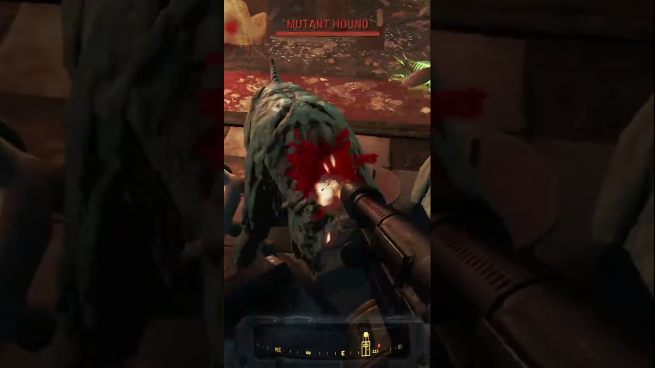 Mutant hounds might look cute, but they don't make good pets (Fluffy don't bite) 