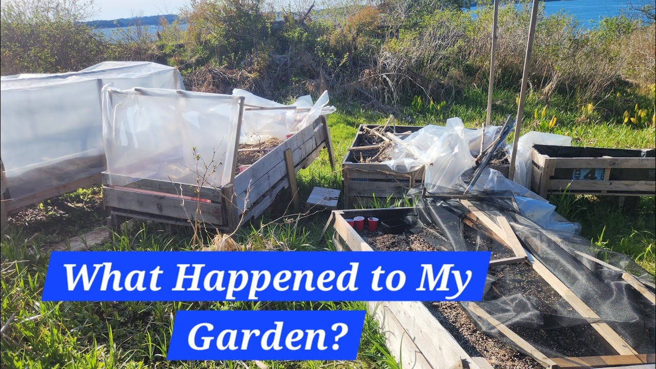 Garden Tour | Oh No, My Garden! | Strange Composting Worms - YouTube