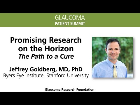 Promising Research on the Horizon - The Path to a Cure, with Jeffrey L. Goldberg, MD, PhD