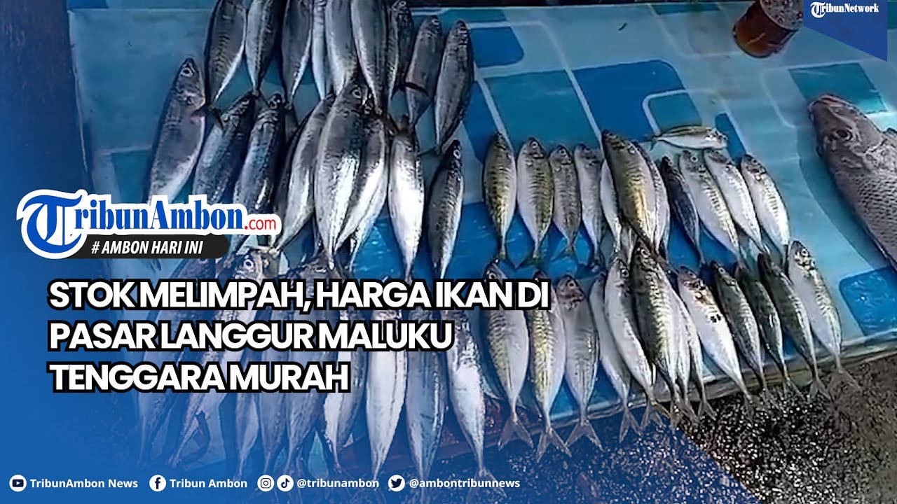 Stok Melimpah, Harga Ikan Di Pasar Langgur Maluku Tenggara Murah