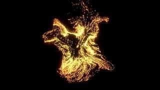 Celebrity particle test Wealth
