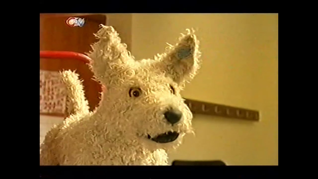 Dog and Duck - Jelly