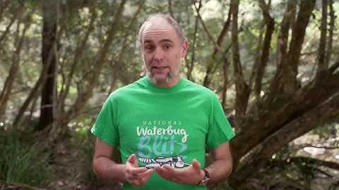 4. National Waterbug Blitz - Identify & Record Waterbug Sample