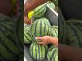 Watermelon fresh cutting - Satisfying ripe watermelon #fruit #viral #satisfying #shorts