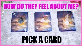 PICK A CARD Reading - HOW DOES MY PARTNER FEEL ABOUT ME?