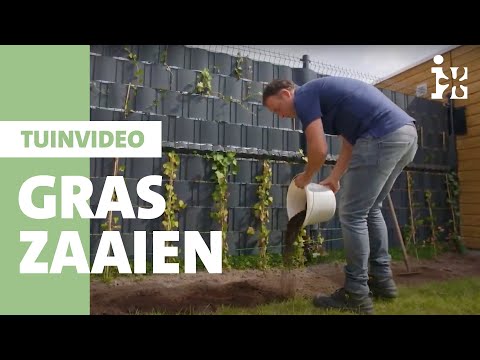 Video: Wanneer Gazongras Planten? Is Het Mogelijk Om In De Lente Een Gazon Te Zaaien Of In De Herfst Correct In Het Land Te Planten? Bij Welke Temperatuur Groeit Gras Het Beste?