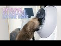 CATLINK Automatic Self-Cleaning Smart AI Cat Litter Box (Luxury Pro)