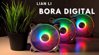 Lian Li Bora Digital Rgb Fan Lighting Demo In 4K