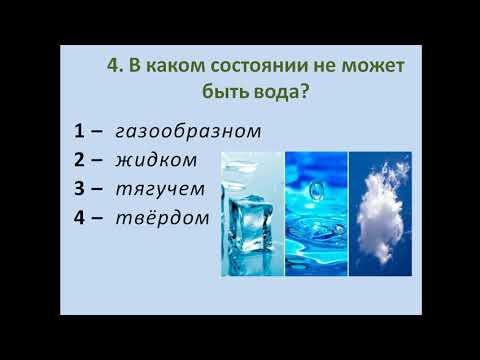 Тест по окружающему миру во 2 классе 1 четверть. Вода и водные обитатели