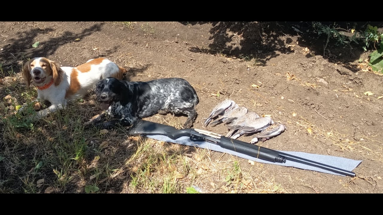 1 выход открытие охот сезона 2025