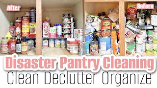 Last Pantry Declutter 2023. Clean Declutter Organize. Small Pantry Organization. Goodbye 2023.