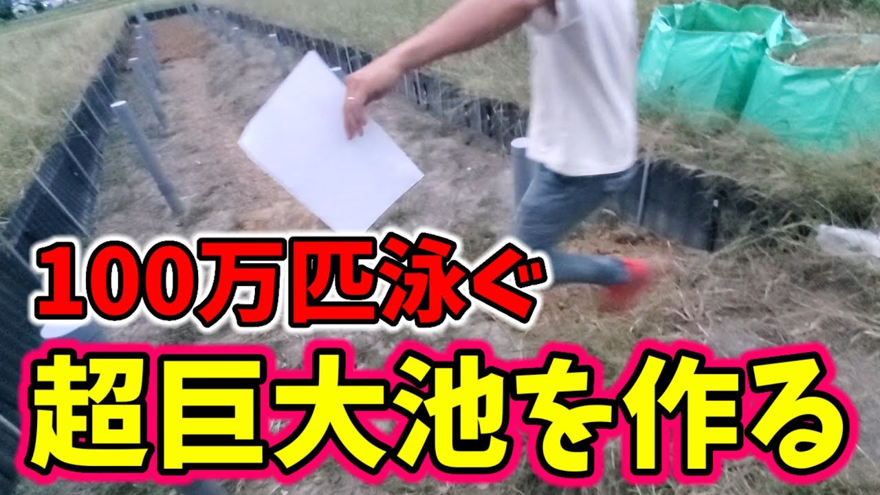 100万匹泳ぐ超巨大めだか池を作ります【うなとろふぁ～む本店】安らぎ