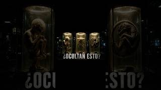 El gobierno de EE.UU. negó esto durante años