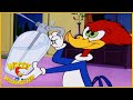 Woody Woodpecker Show | Couples Therapy | 1 Hour Compilation | Videos For Kids