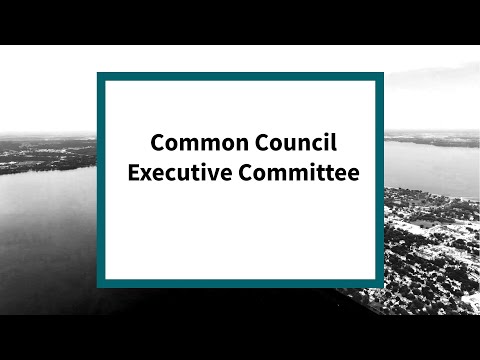 Common Council Executive Committee: Meeting of January 9, 2024