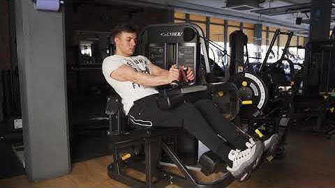 Cybex Seated Leg Curl