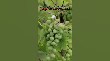 general knowledge || quiz | spinal cord part-432