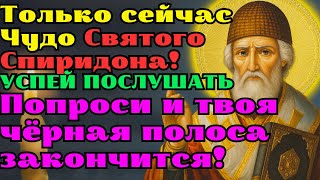 видео: 🌟 27 сентября: Чудо Святого Спиридона – попроси и твоя чёрная полоса закончится навсегда! 🌟 картинка: 🌟 27 сентября: Чудо Святого Спиридона – попроси и твоя чёрная полоса закончится навсегда! 🌟