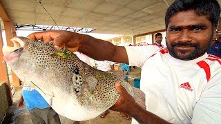 SRI LANKA Seafood Heaven in Jaffna!! SPICY Prawn CURRY + “Khool” Soup  Tamil Food in Sri Lanka!