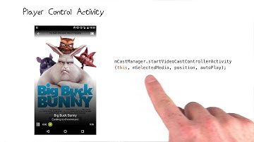 Cast Companion Library