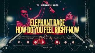 Elephant Rage x How Do You Feel Right Now
