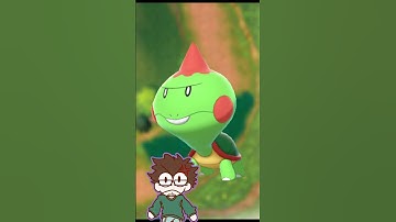 Could I beat these Pokémon in a fight? - Chewtle, Drednaw