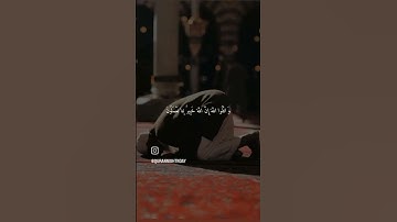 هدوء وسكينة خيالية #الشيخ_علي_جابر #القرآن_الكريم #رمضان #تلاوات #تلاوة_خاشعة #تلاوة_هادئة #quran