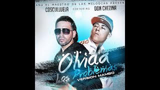 Cosculluela ( Olvida Los Problemas   Lyrics)