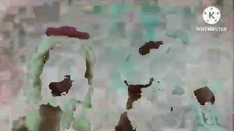 The End Of Adobe Flash Player V15 Part 2 Fire Scene