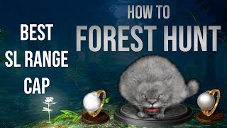 How to make a Forest Hunter Covenant build - Dark Souls Remastered