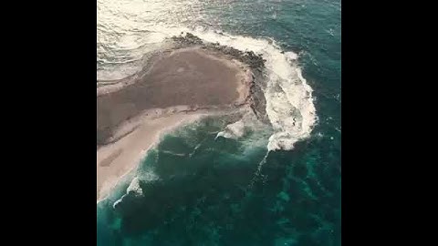 سمكة التونة / fishing- tuna