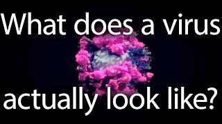 What does a virus actually look like?