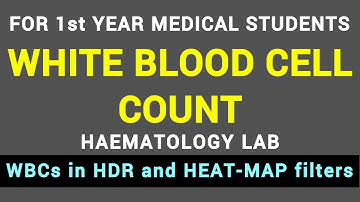 WHITE BLOOD CELL COUNT | HAEMATOLOGY LAB | BLOOD PHYSIOLOGY PRACTICAL