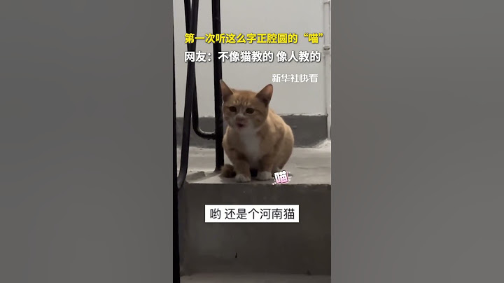這么字正腔圓的“喵”還是第一次聽，網友：不像貓教的，像人教的