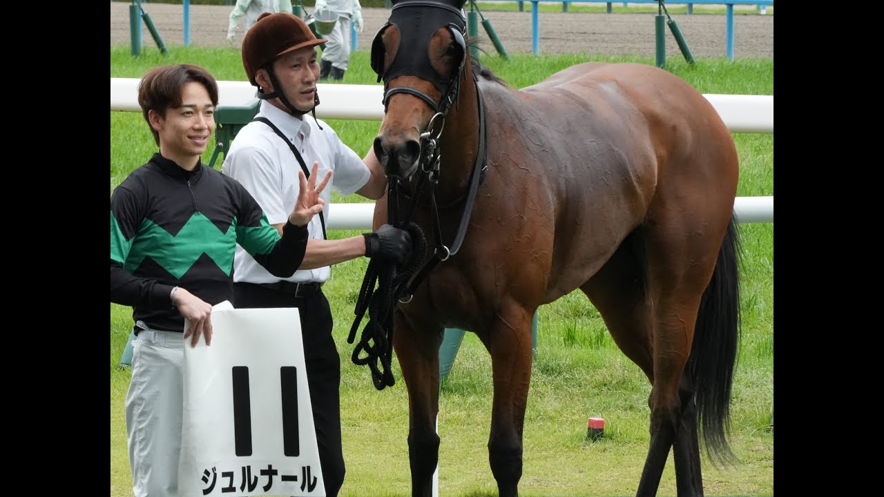 ジュルナール号　3歳未勝利　京都競馬場　2025　5/25 2R  パドック、返し馬、ゴール前、口取り
