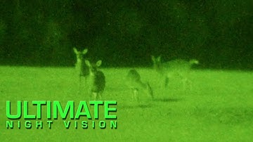 Viewing Deer Through Gen 3 Night Vision TVS-4 MX-11620 255mm F/1.6