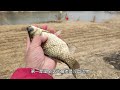 夏季野钓记住5钓不5钓 气温高鱼情差 套路要比技巧更重要 钓鱼 钓鱼人 钓鱼分享 钓鱼技巧 