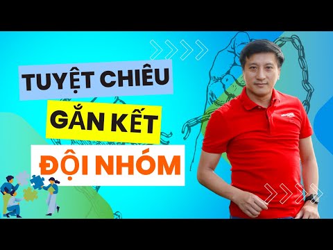 Làm thế nào để gắn kết đội nhóm ?