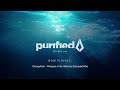 Purified radio 399