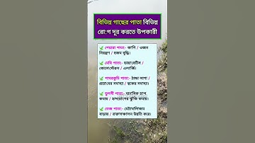 general knowledge || quiz | spinal cord I part-159