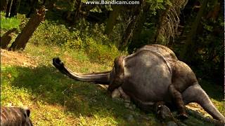 Alphas Egg Full Episode Part 8