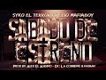 Video Sabado De Estreno Syko