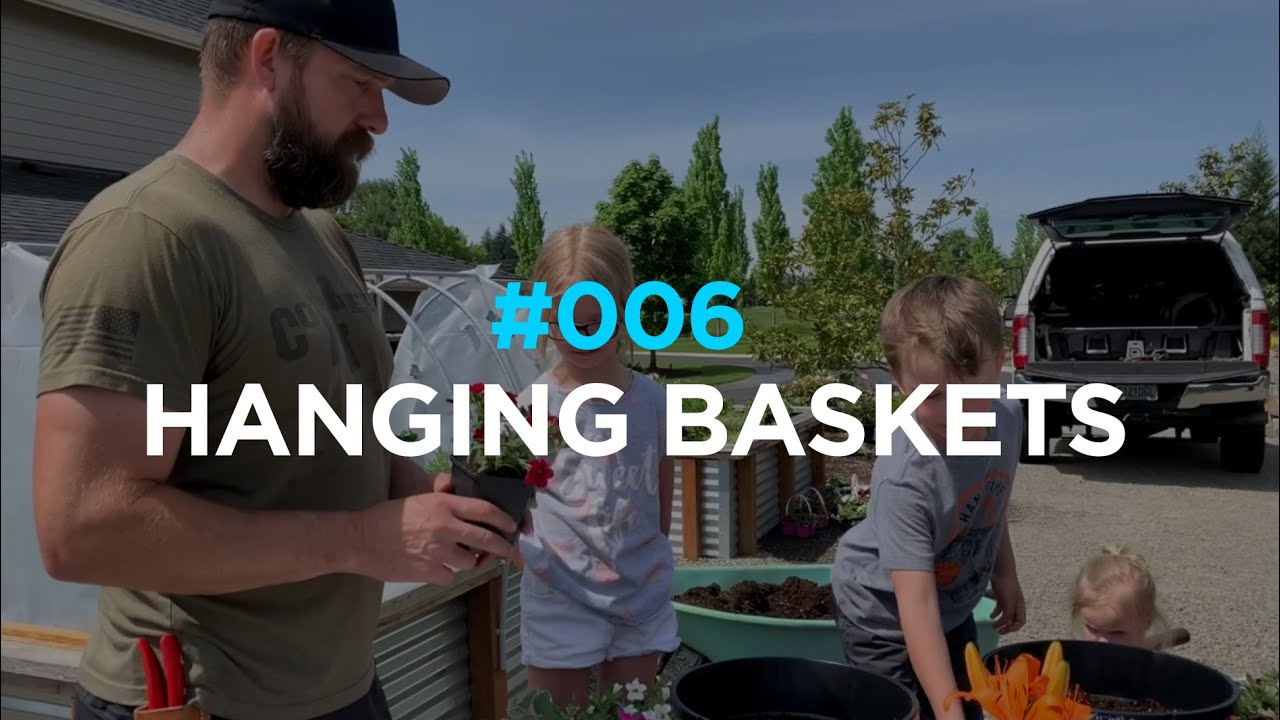 In The Garden #006 - Hanging Baskets