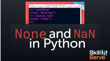None and NaN in Python