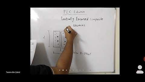 Introduction to Steel Concrete Composite Structures : After Midterm Lecture-1:PEC Column part-1