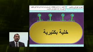 الأحياء - الصف الثانى عشر - الدرس رقم (19) اكتشاف الـ DNA